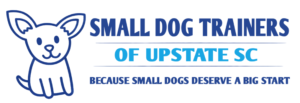 Small Dog Trainers of SC